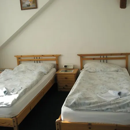 Kozel Guest house *